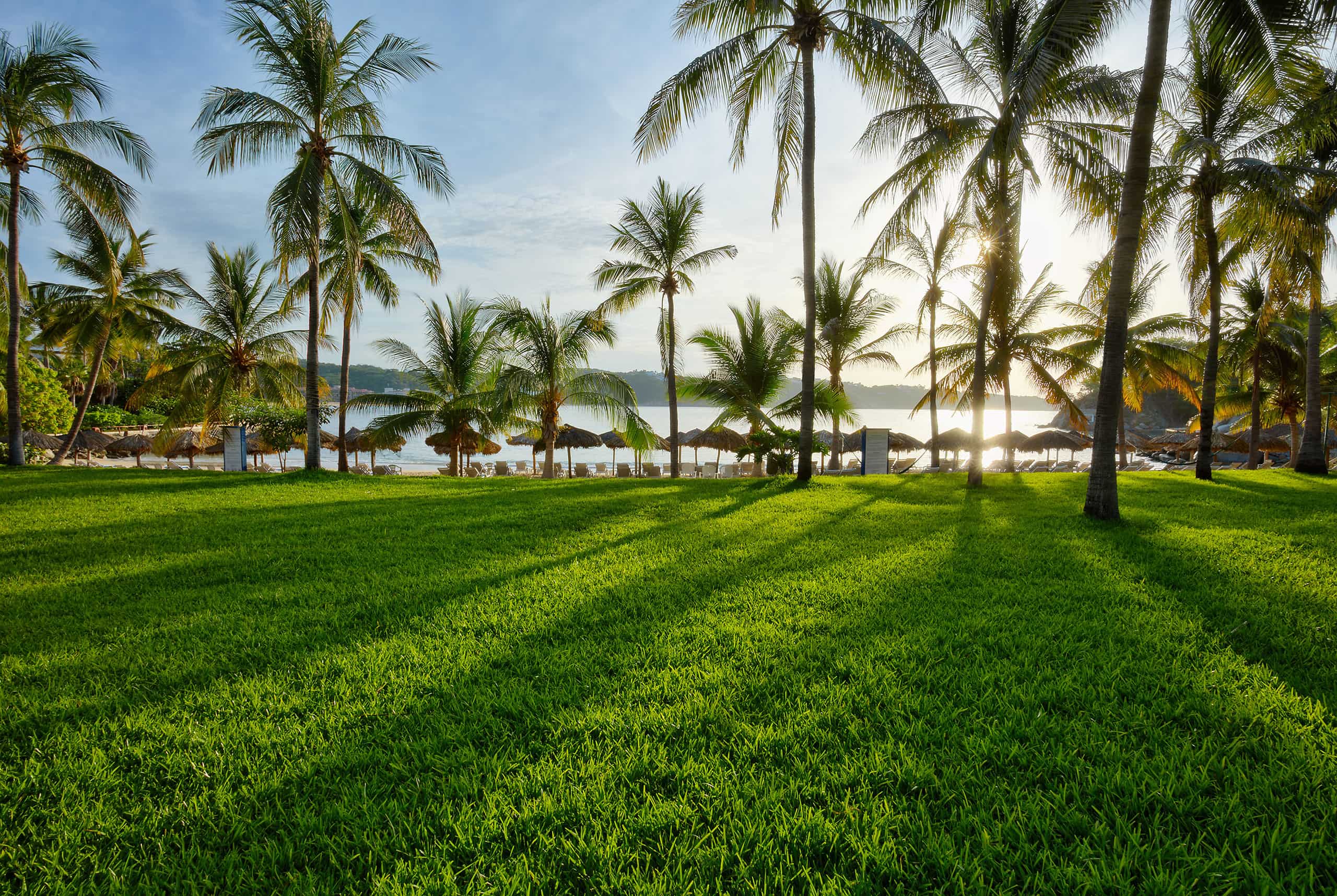 Jardín en Hotel Las Brisas Huatulco