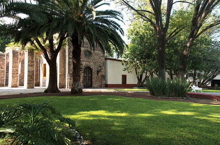 Jardin en Hotel Hacienda Jurica by Brisas Queretaro Jardin palmeras Hotel